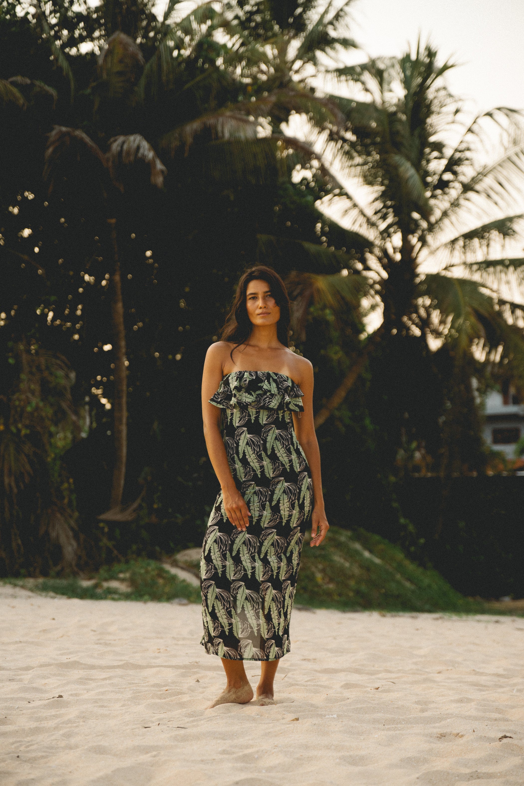 Collections – Shay International