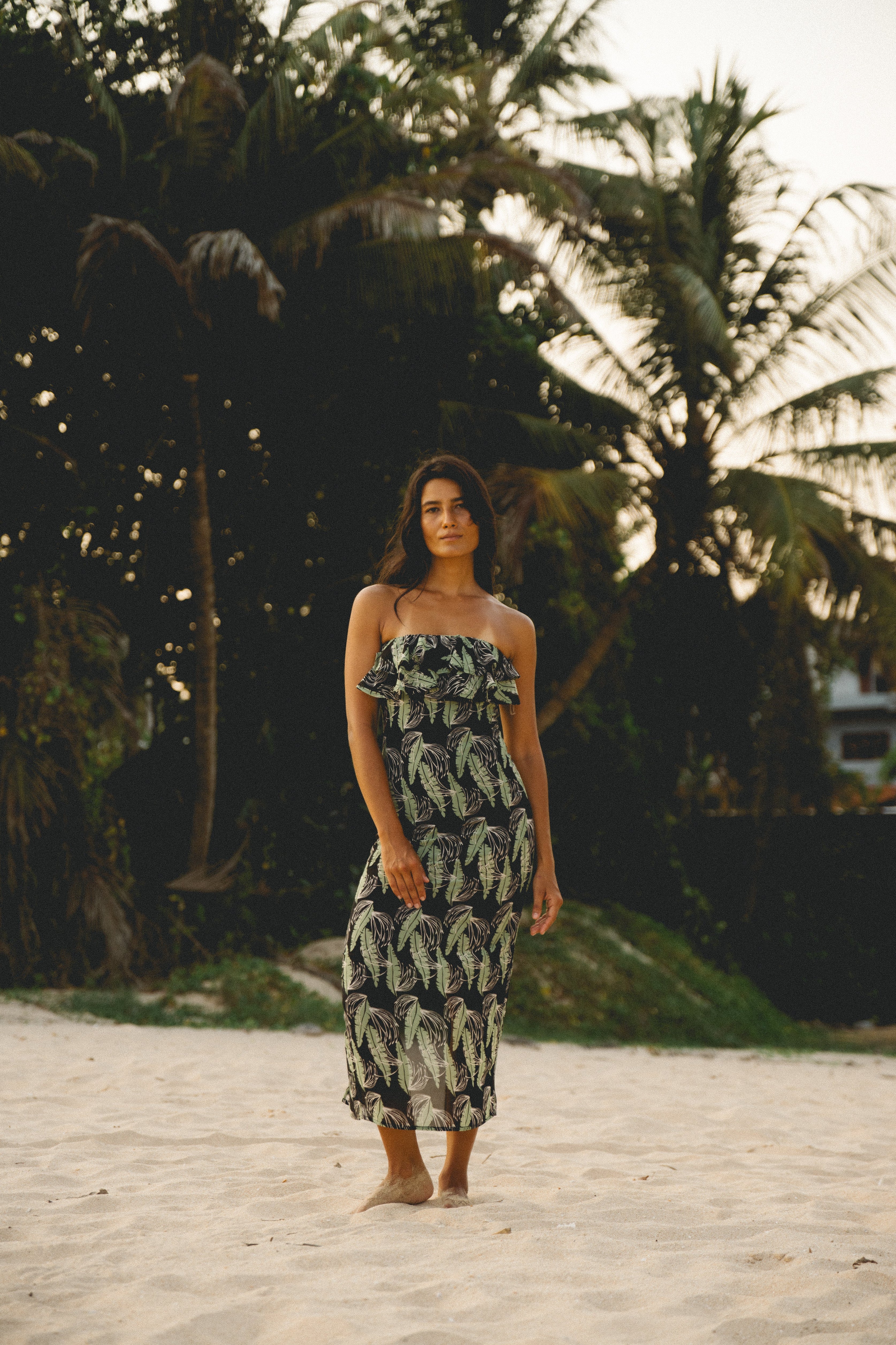 Collections – Shay International