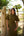 Waist Gather Maxi In Green